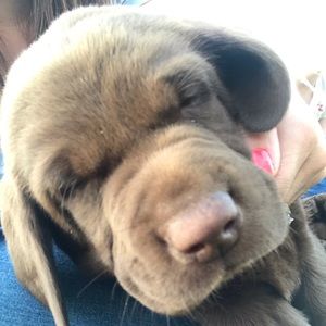 Meet your Posher, Kassidy